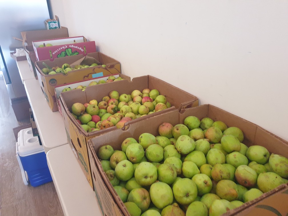 BNH South House tweet media