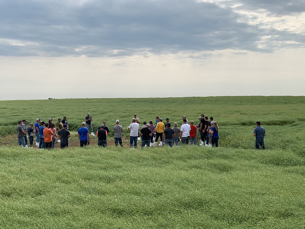 Great turnout today!  Wealth of knowledge and information shared from <a href="/AgronomyDoug/">Doug Moisey</a> @JurkeCCC <a href="/4nierfarms/">Keith 4nier</a> <a href="/CarlyeHanke/">Carlye Hanke</a>. Can’t wait to see the yield from the LibertyLink PKP. Anyone interested in taking a look at the LL or RR plots give me a shout. <a href="/PioneerSeedsCA/">Pioneer Seeds Canada</a> <a href="/CortevaCA/">Corteva Canada</a>