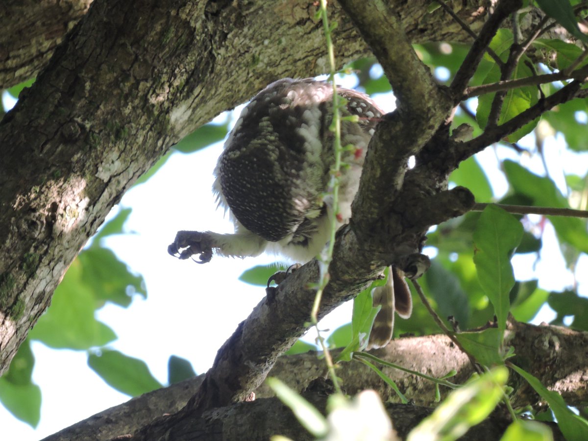 2) I love rock and roll - Joan Jett