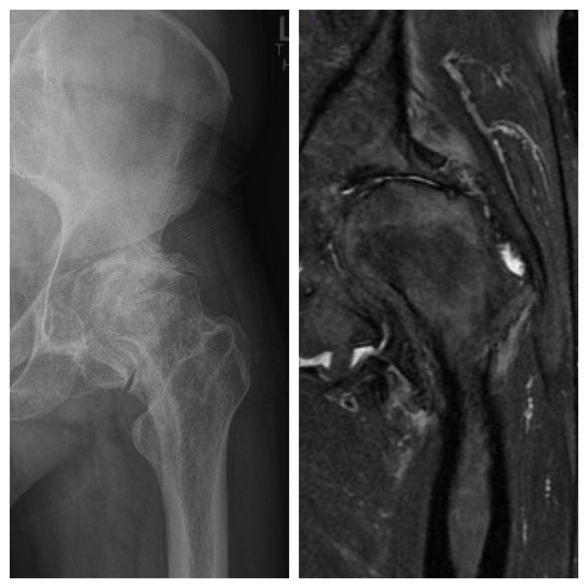 Dr. Justin Mitchell tweet media