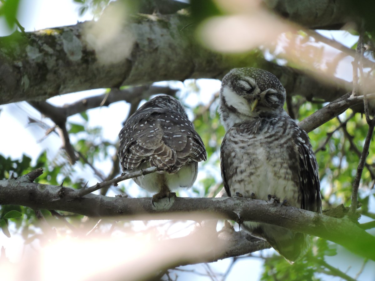 3) Sultans of swing - Dire Straits