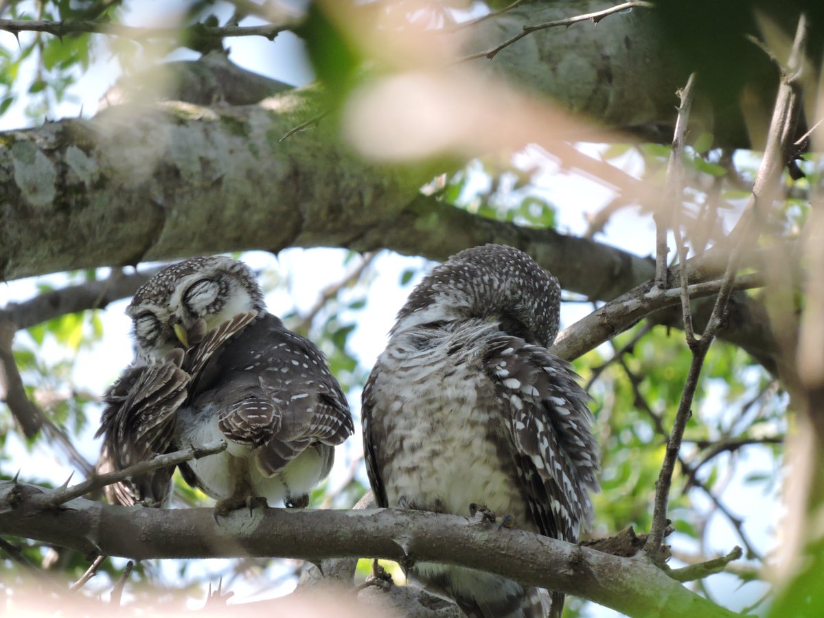 3) Sultans of swing - Dire Straits