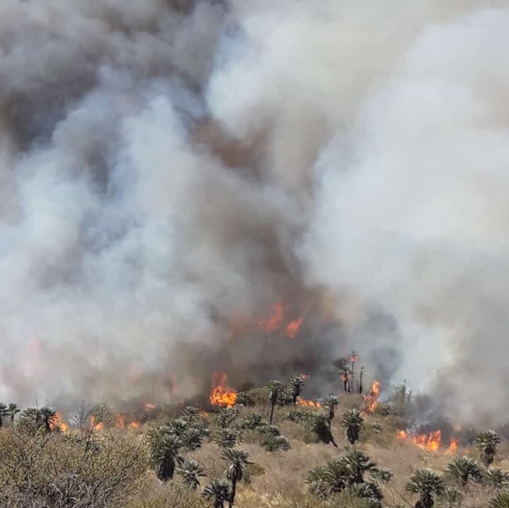 agustingalletto's tweet photo. ! Defendamos nuestro norte , ayudando a nuestros héroes ! 👨🏼‍🚒🚒💪🏼
Hagamos viral lo que está pasando en nuestro departamento, si al norte no lo defendemos los norteños no lo defiende nadie. 
@IschilinX https://t.co/vONxsxSoRF