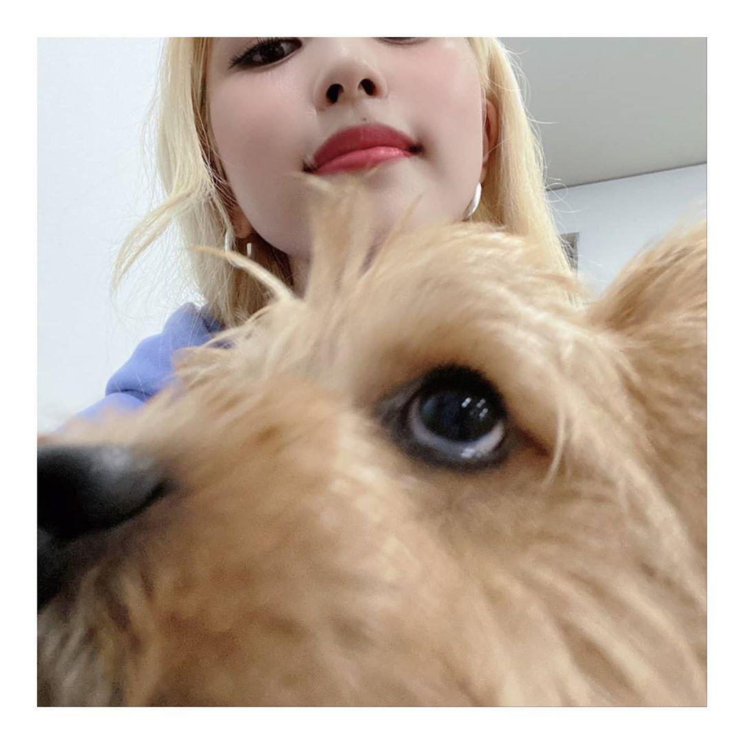 correctmimo_'s tweet photo. mina and boo 🥺 https://t.co/oOo22mmpJU