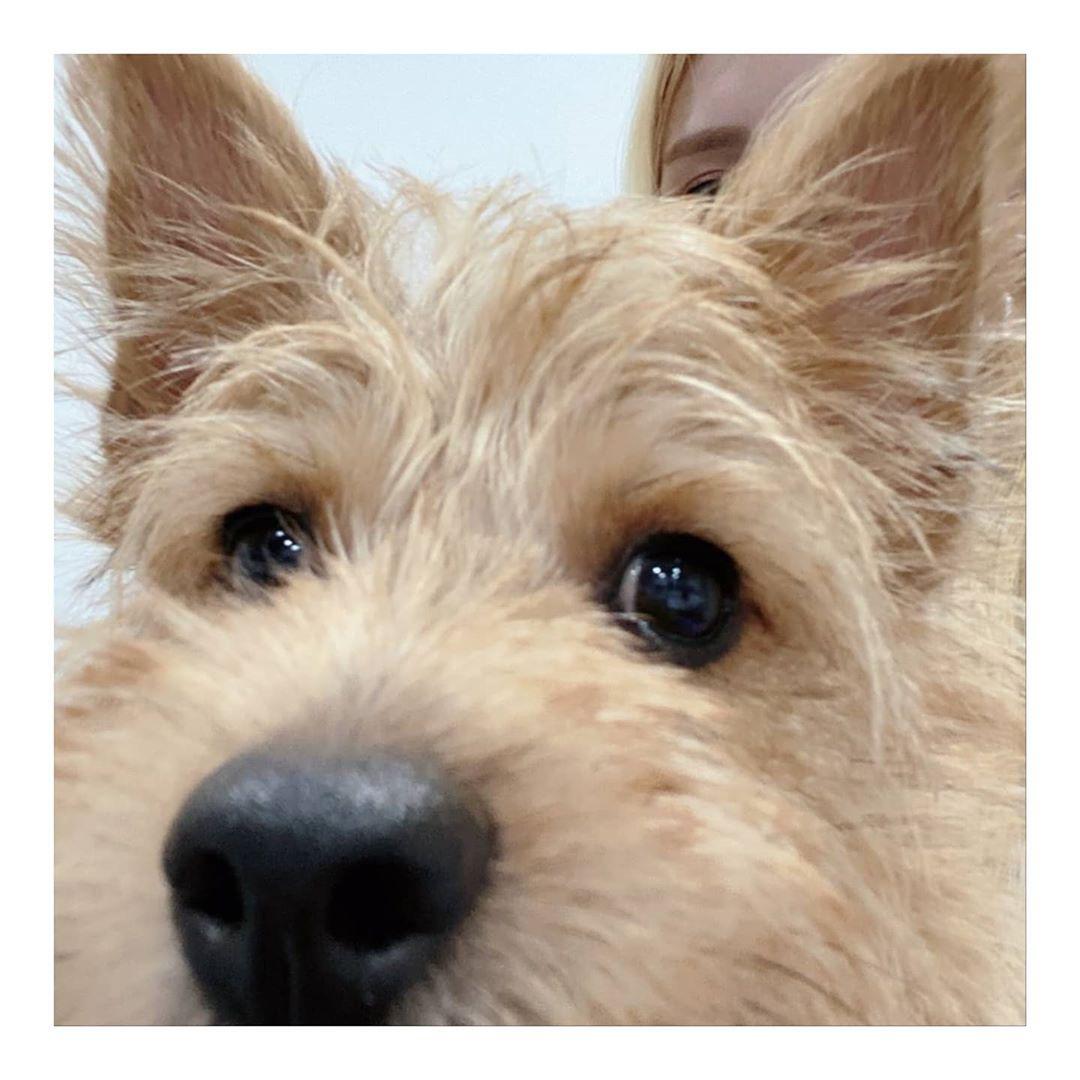 correctmimo_'s tweet photo. mina and boo 🥺 https://t.co/oOo22mmpJU