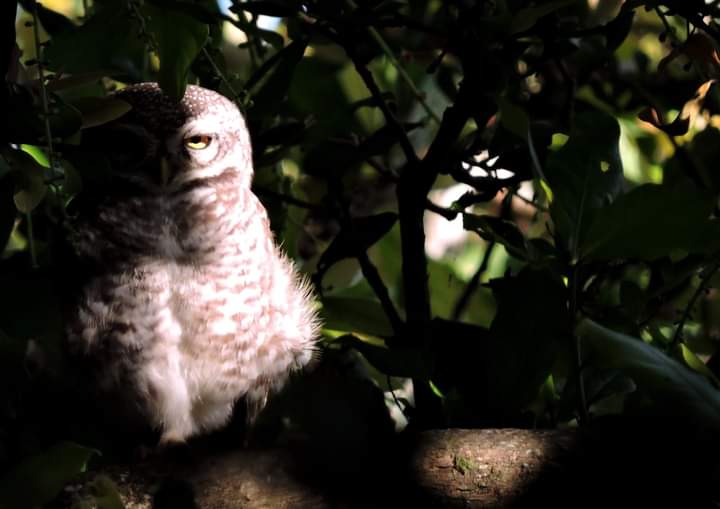 5) Darkness, darkness - The Youngbloods