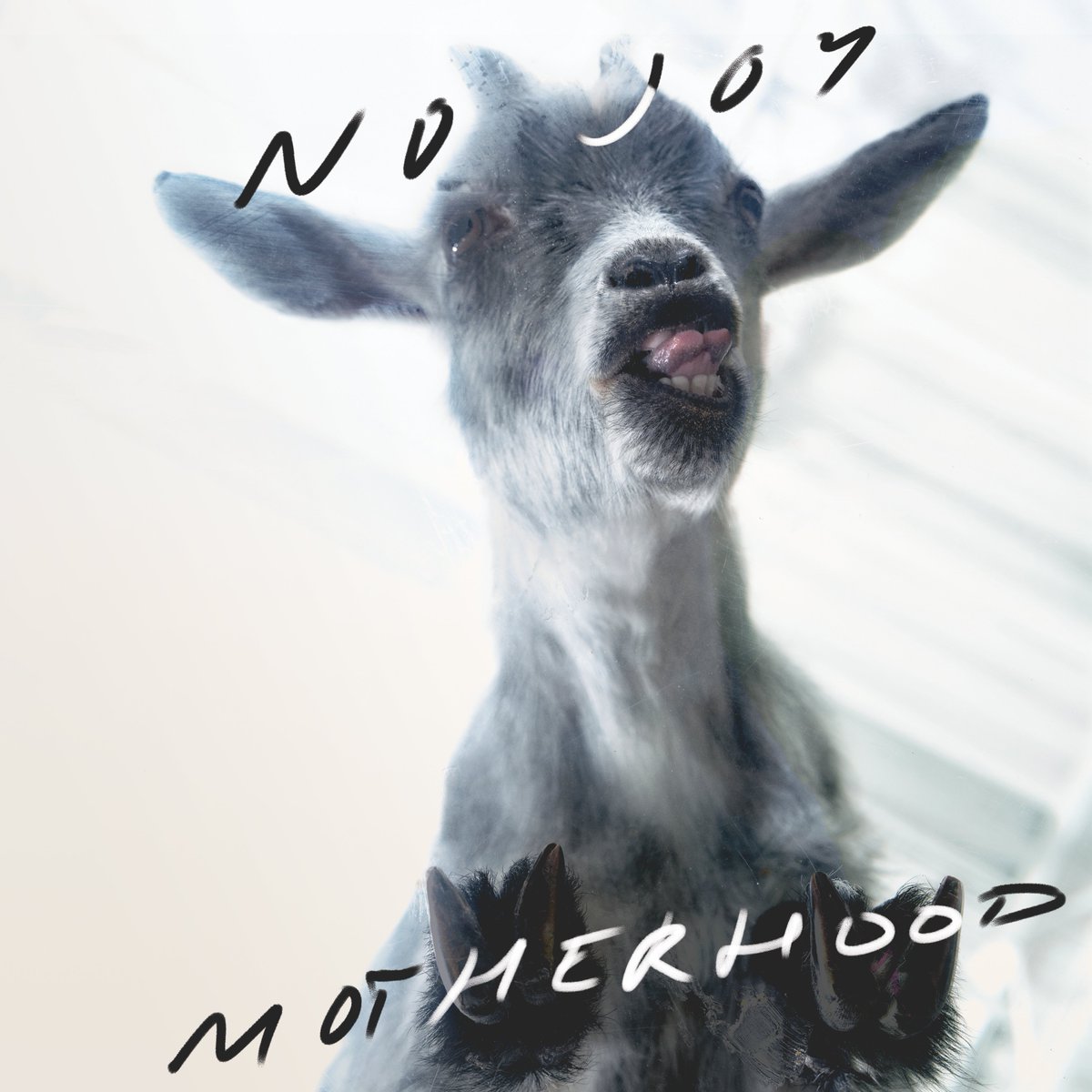 SHE IS BORN 🐐 MOTHERHOOD IS OUT NOW!