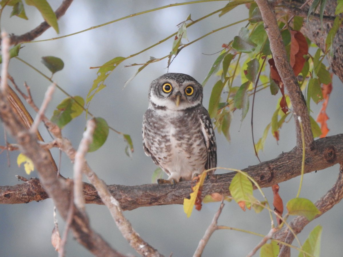 9) Who are you? - The Who