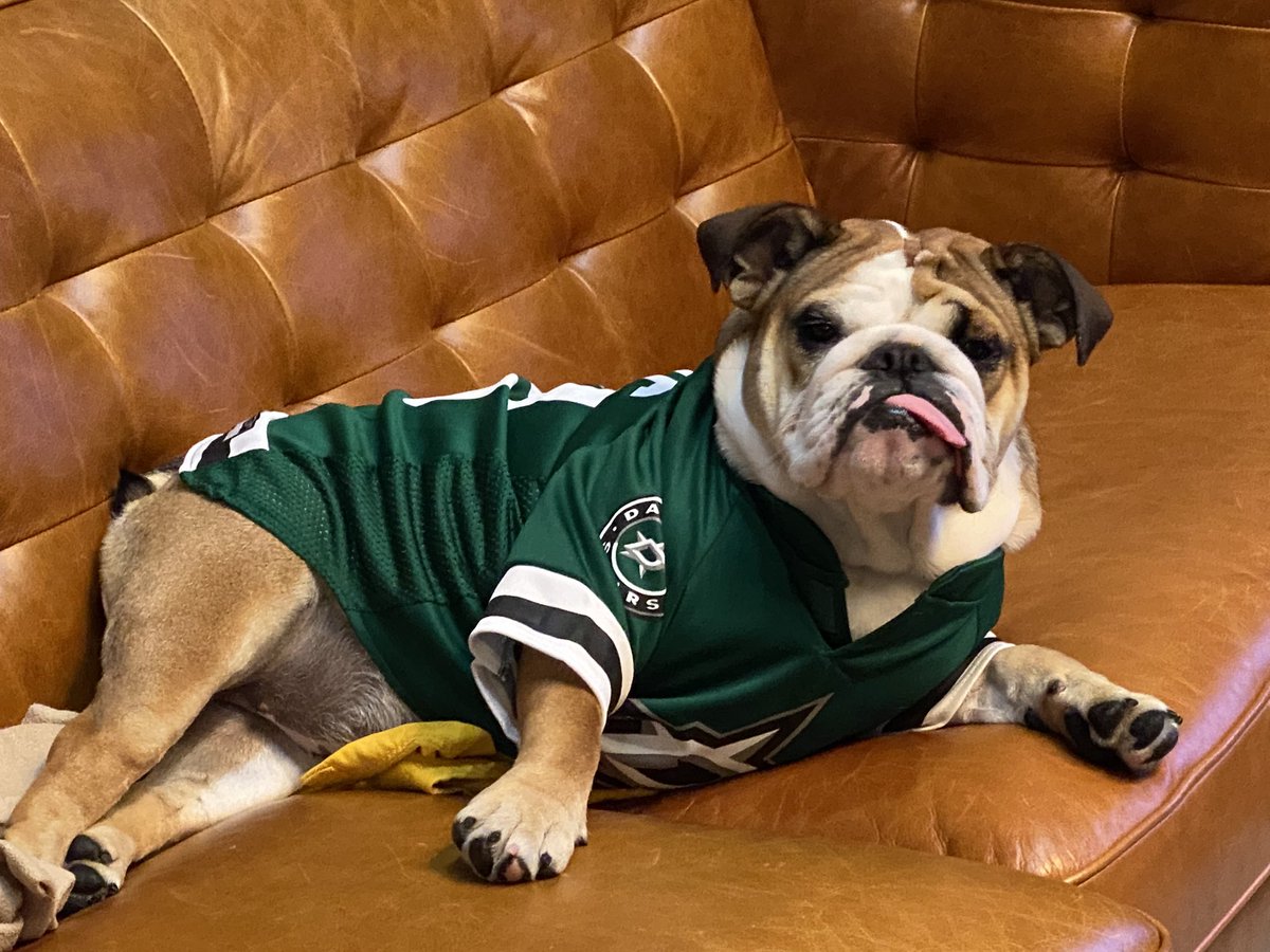 MarketingGirlHJ's tweet photo. @DallasStars we put the jersey on her at the start of the 2nd period. She may just be your lucky charm! #gostars #belladee https://t.co/vXxj3QZguu