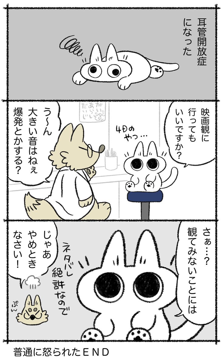 インセプション観たいよ〜!!? #ネコちゃんで日記 