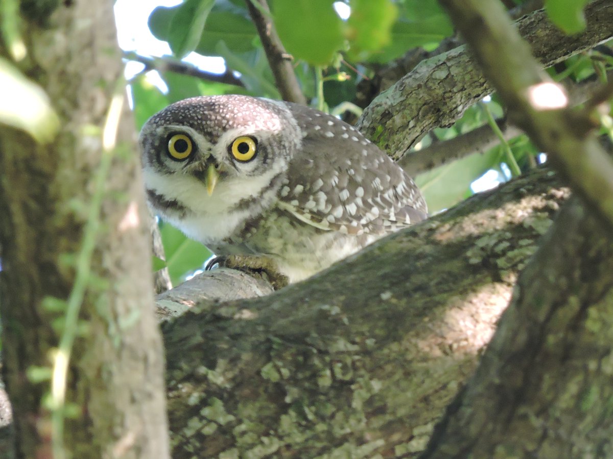 10) Don’t you (forget about me) - Simple Minds