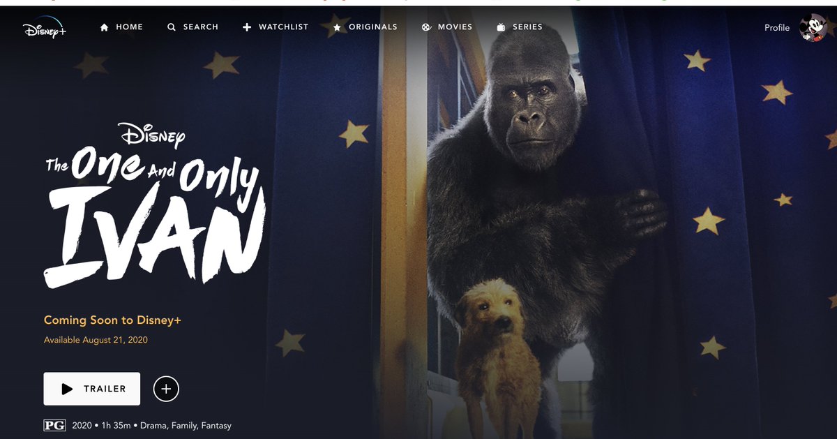 The One and Only Ivan movie premieres tomorrow! Congratulations, <a href="/kaaauthor/">Katherine Applegate (kaaauthor.bsky.social)</a>! disneyplus.com/home