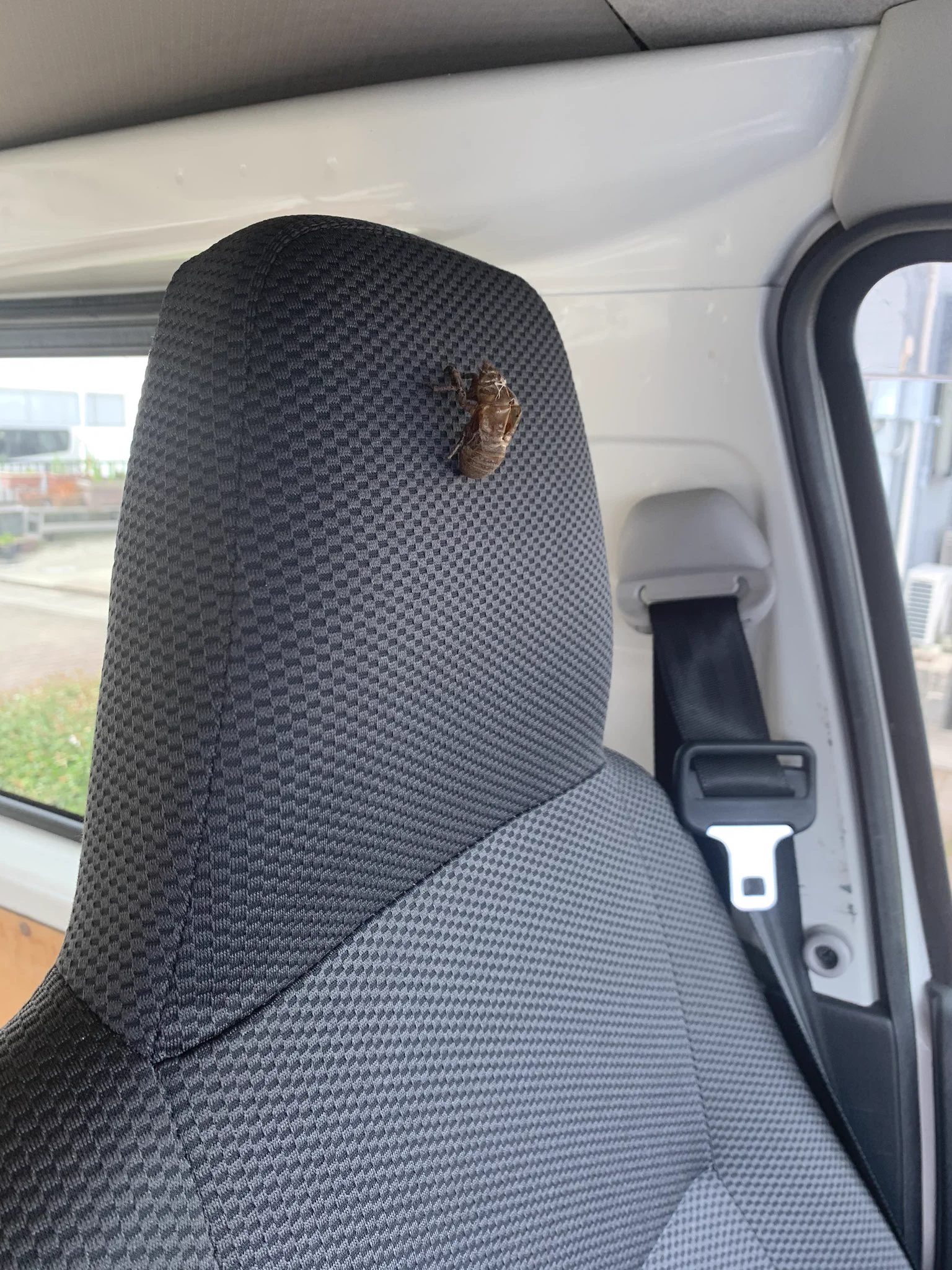 @josefu_pt なんかわからんこともないかも。
配送中の時してたわ。 