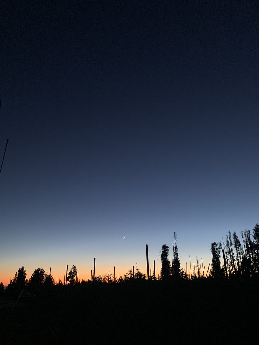 Nochecita californiana 💆🏼‍♂️🌙