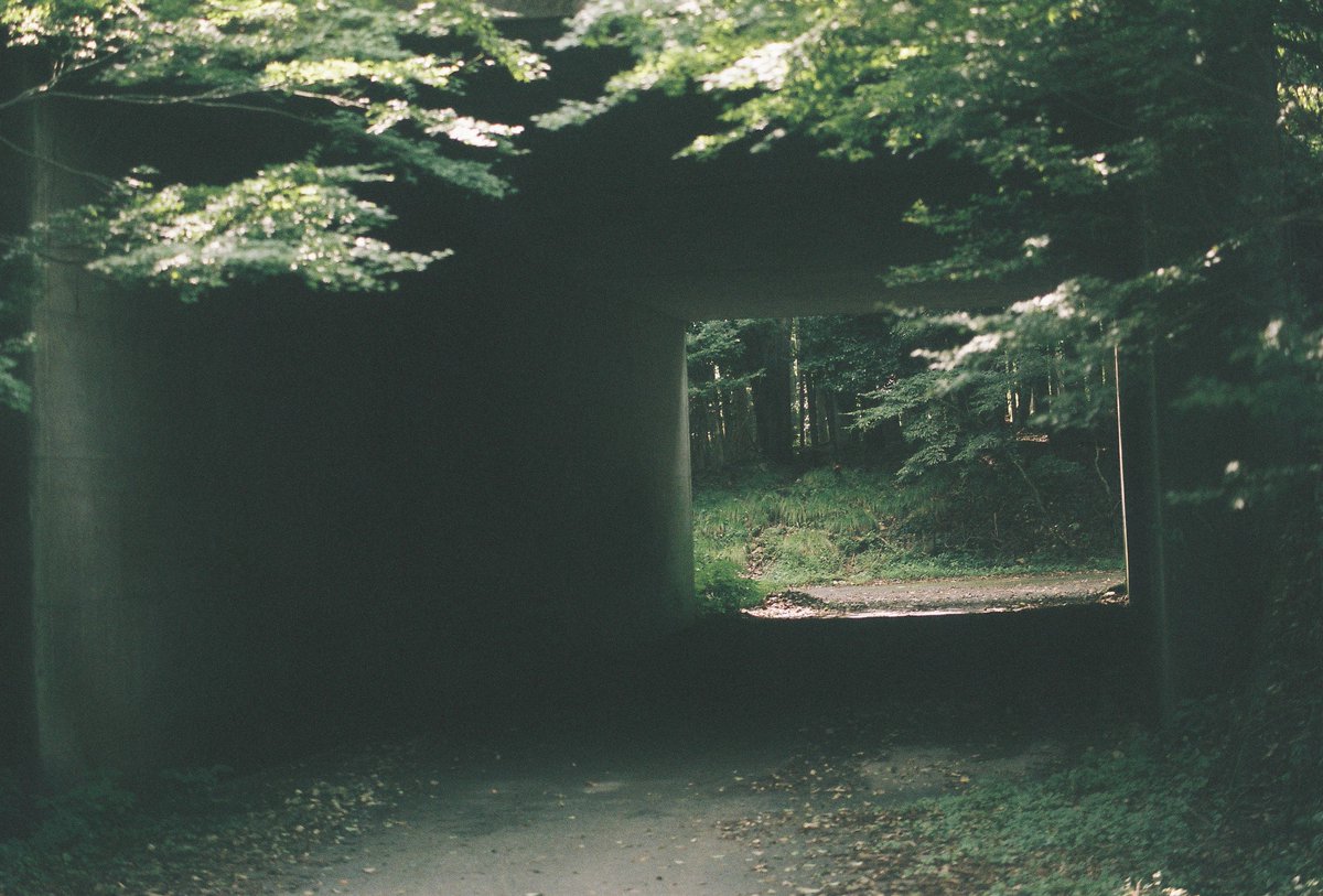 T_Noshita_'s tweet photo. 【#白昼夢の日々】no.14
That day, I removed the battery and tried releasing the mechanical shutter. Using the mechanical shutter without the exposure meter gave me an opportunity to improve my technique. Under #Route161
Nikon Lens SeriesE 75-150mm F3.5 SS:1/250
#NikonFA #XTra400 https://t.co/8D9BpkNFai