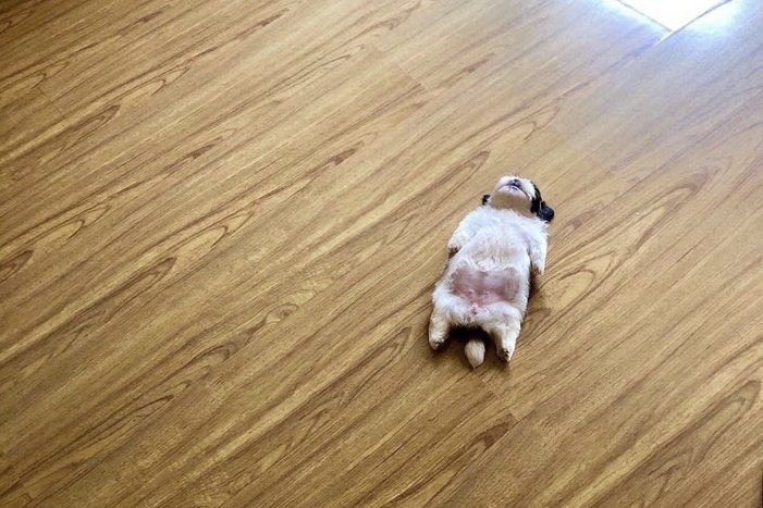 miintagustd's tweet photo. HASTA PRONTO AMIGUES ME VOY A HACER STREAM DESDE LA OTRA VIDA 

#BTSDynamite #DynamiteToday @BTS_twt https://t.co/wkXcJzTsfF