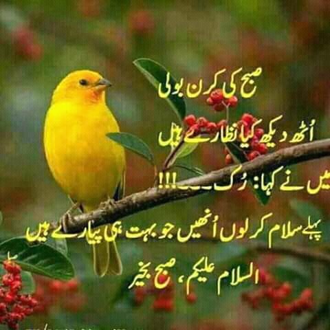 RusoolShafqat's tweet photo. https://t.co/eFiPfQenNW