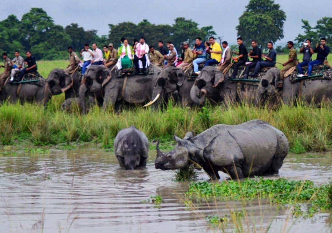 Dense forest of region is home to some of the most beautiful but endangered & rare species of wild animals and birds. Major national parks and Wildlife Sanctuaries are the treasure and heritage of the states. @_ichat  @PrangyavitSahu  @Sabu4mjupitor  @SanghiBabe @Shekhar_Hindu_