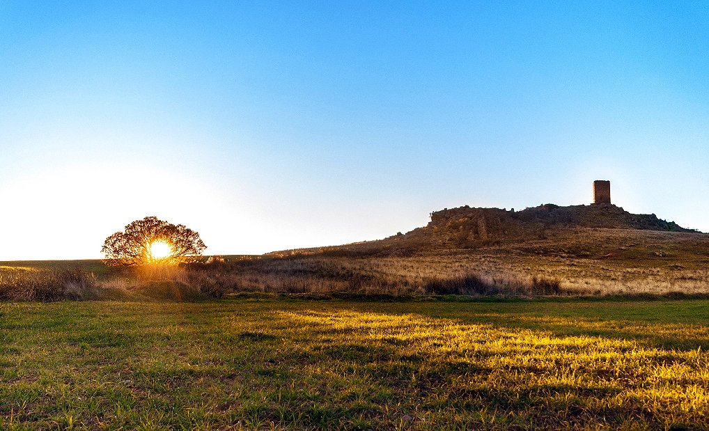 sabersabores's tweet photo. 🌼El Campo de Montiel nos regala con mil y un paisajes rurales diferentes ¡¡¡Impresionante!!! 🥰📸 by https://t.co/7OxjcankY9 por el #CampodeMontiel

🧡 #Turismo #CastillaLaMancha #QuijoteES #planesenfamilia #viajar #SoyMancha #España #paisajes #rural #CLMcercadeti #ecoturismo https://t.co/tA9jMlzH6G