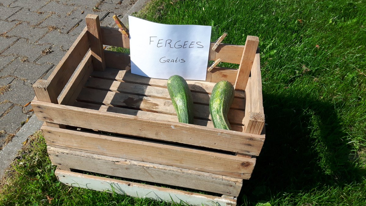 sybrenposthumus's tweet photo. Oeral yn Fryslân stiet wer fergees iten by de dyk.

Lykas hjir yn #Wytgaard.

#Lokop1 #gelukop1 https://t.co/KfawwpOa1g