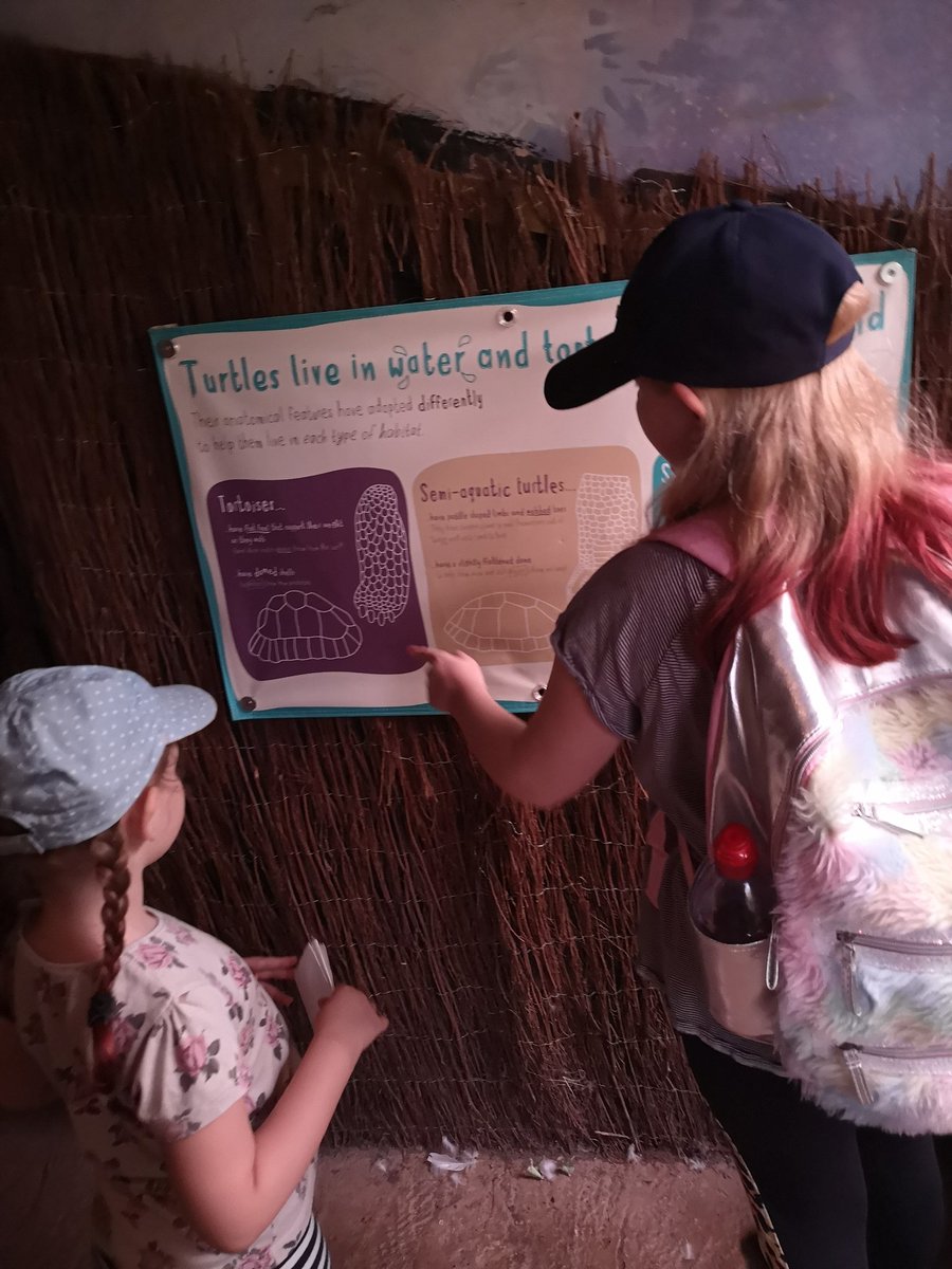 Alip1981's tweet photo. @KingsleyLpool  Thank you Kingsley for our free voucher to visit Chester Zoo. We had a great day seeing all the animals. https://t.co/Etur5mtvVG