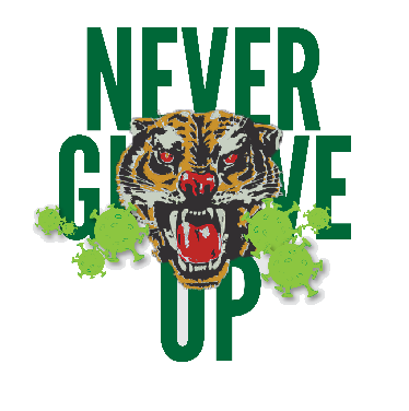 ECB Corona Zuschauerkonzept ....