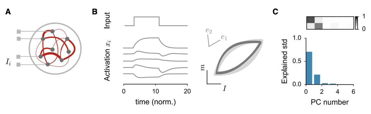 Non-linear dynamics in recurrent neural networks can be analyzed by starting from the SVD of the connectivity matrix, and keeping dominant terms. https://arxiv.org/abs/1711.09672&nbsp; https://www.biorxiv.org/content/10.1101/350801v3.full https://arxiv.org/abs/2007.02062&nbsp; https://arxiv.org/abs/1909.04358&nbsp; https://www.biorxiv.org/content/10.1101/2020.07.03.185942v1