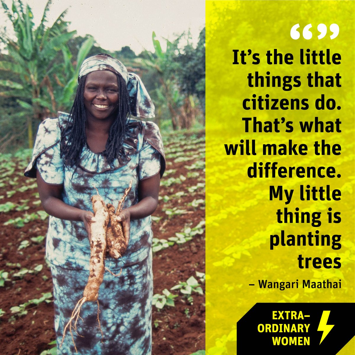 “It’s the little things that citizens do. That’s what will make the difference. My little thing is planting trees”
– Wangari Maathai