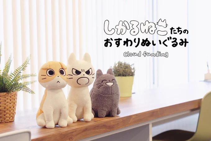 【予告】
クラウドファンディング
「しかるねこたちのおすわりぬいぐるみプロジェクト!」が
2020年8月28日(金)19:00に
スタートするよ?

またお知らせします!楽しみに待っててね! 