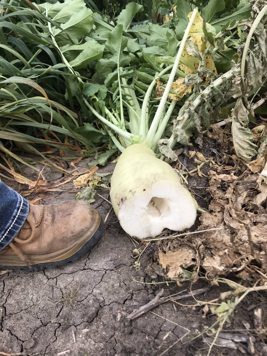 Linda Heuke tweet media