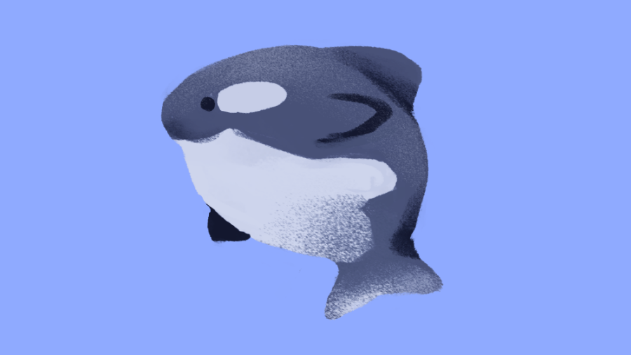 _jintii's tweet photo. squishy sea friends!!!🌊🌊🌊 https://t.co/NT6kDhIkKv