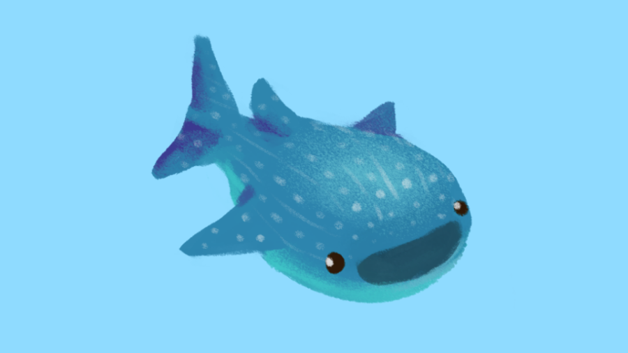 _jintii's tweet photo. squishy sea friends!!!🌊🌊🌊 https://t.co/NT6kDhIkKv