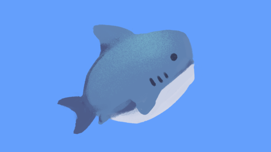 _jintii's tweet photo. squishy sea friends!!!🌊🌊🌊 https://t.co/NT6kDhIkKv