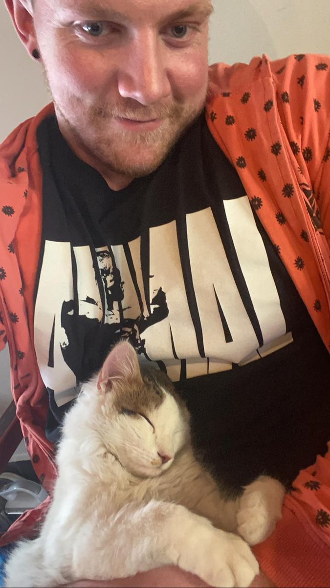 Tough day for a kitten