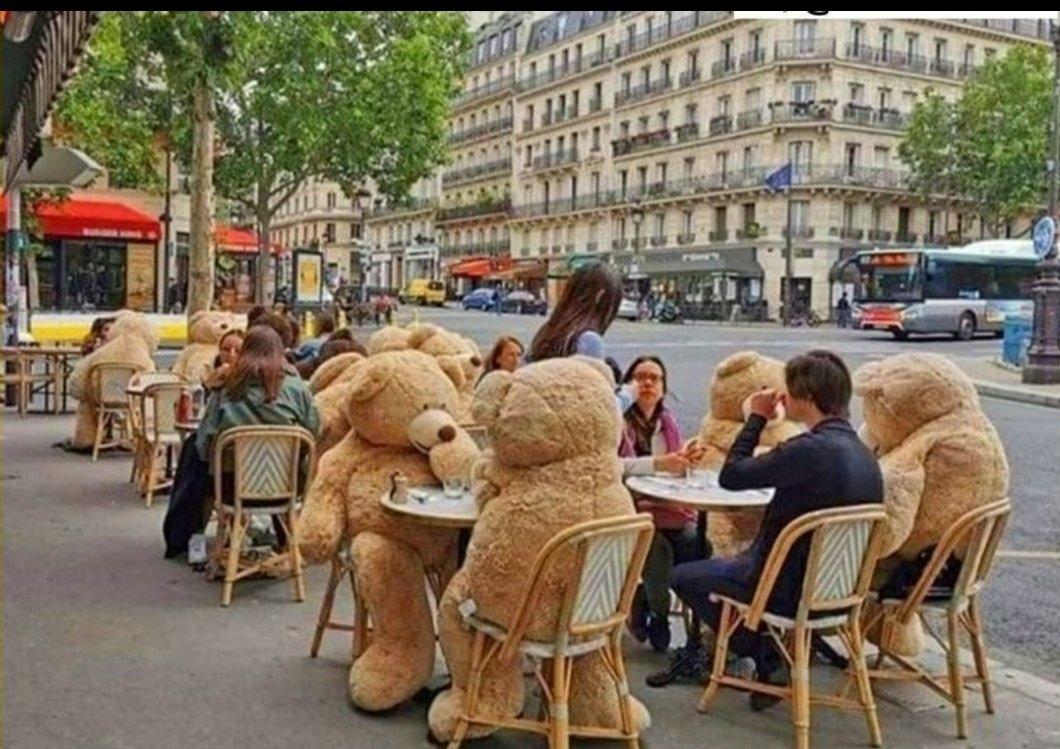 Kafe sosyal mesafe için dev peluş ayılar koymuş. Süper değil mi..