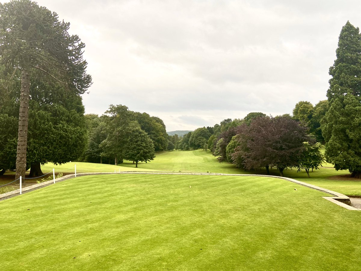nenwpga's tweet image. The beautiful first hole at @HexhamGolfClub lies ahead for the 36 teams in their ProAm today. 💨 #backofthestance