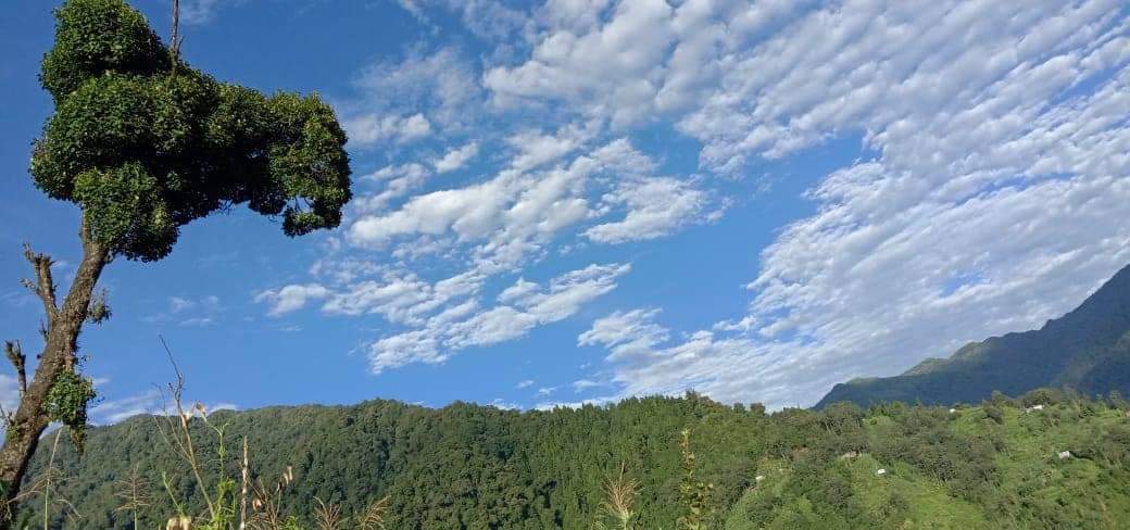 NTPPassion's tweet photo. Good Morning with blue sky and fresh air.
Life is beautiful when we are within nature . Safe the nature and make this world more beautiful and Gorgeous.
#GoodMorning #GoodMorningTwitterWorld #NaturePhotography #naturelovers #nature_shooters #NatureTherapy #naturedetox #natured https://t.co/f2nVl9kCPo