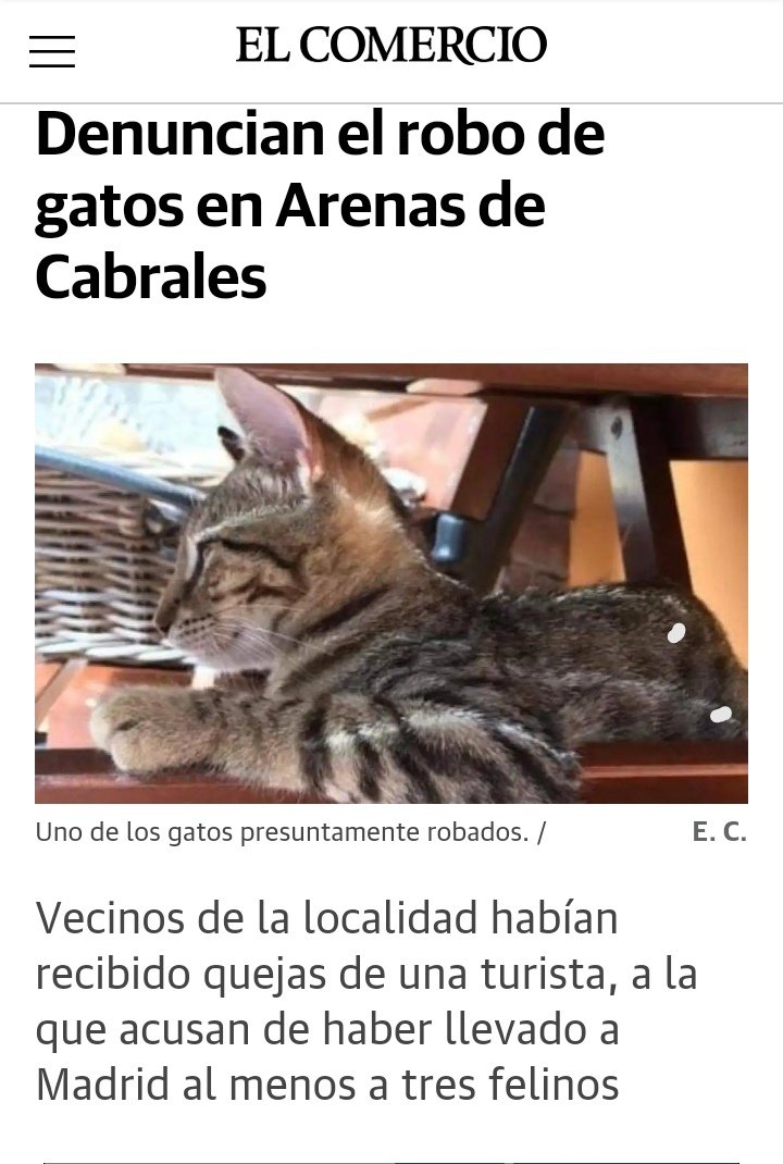VityRamone's tweet photo. ¿Este es el turismo que queremos para Asturias? https://t.co/XqJ5KCsVnq