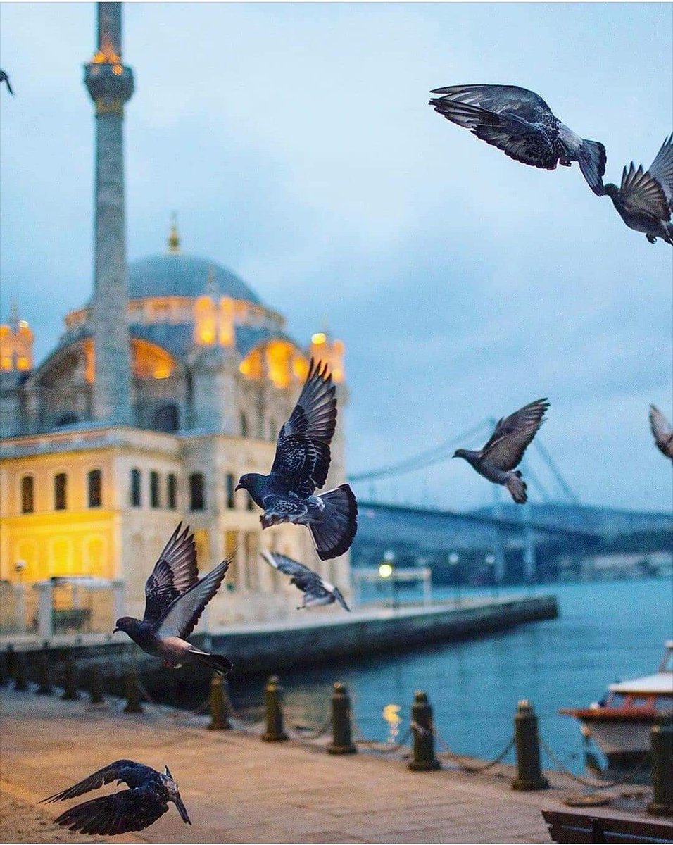 Melekler daima duacınız olsun... Yüreğiniz ferah, ilhamınız bol olsun... Sevgili Peygamberimiz, şefaatçiniz olsun... Cumanız mübarek olsun...
#Hayırlıcumalar