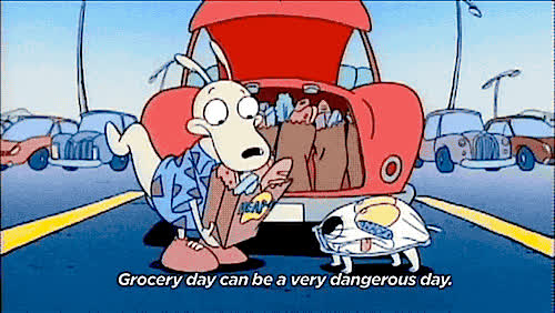 rocko's modern life screencaps but recontextualized to fit today's pandemic lifestylewhen you have to venture out for supplies