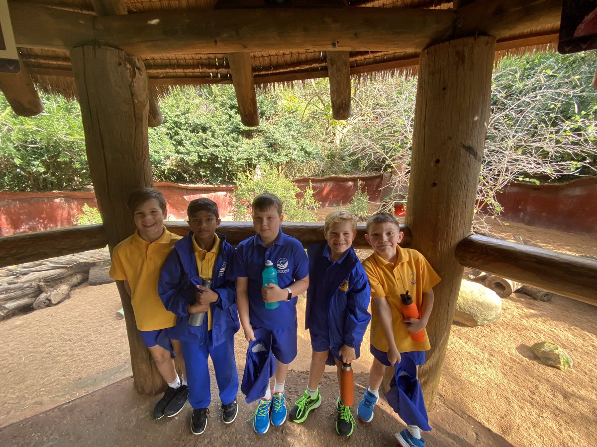 cps_whitford's tweet photo. We had an awesome day at the @PerthZoo! Can you see all the animals in these photos, some are hiding 👀 #grade3 https://t.co/6sAF44P3uH
