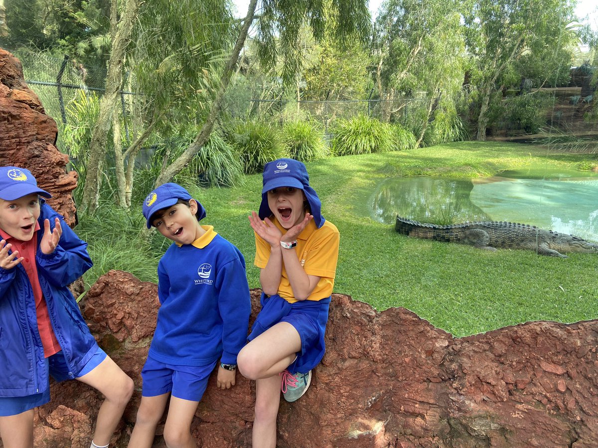 cps_whitford's tweet photo. We had an awesome day at the @PerthZoo! Can you see all the animals in these photos, some are hiding 👀 #grade3 https://t.co/6sAF44P3uH