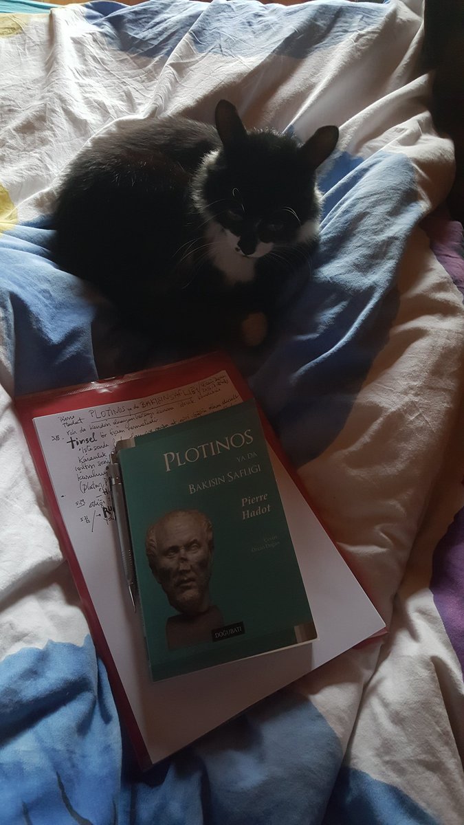 microzazie's tweet photo. Sonunda yakın bulduğum Plotinos'a uzanmak
"Plotinos ya da Bakışın Saflığı" - #PierreHadot çev. @ozzcanDogan @DoguBatiYayin #plotinos #zaziebooklist https://t.co/HNZhEgyFJe