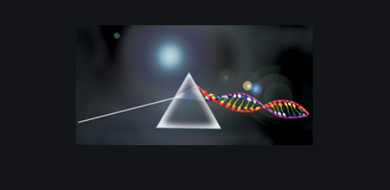 DNA_RNA_Uni's tweet photo. Watch nice @samplix webinar for free:
Capture the dark genome: From repeat-expansions to CRISPR unintended mutations (2020)
https://t.co/DA22DaEGQu
Speakers: Dr. Marzia Rossato & Dr. Peter Mouritzen
#xdrops #samplicons #samplix @grawoig @rnomics #academicchatter #phdchat https://t.co/eRaspU5kIN