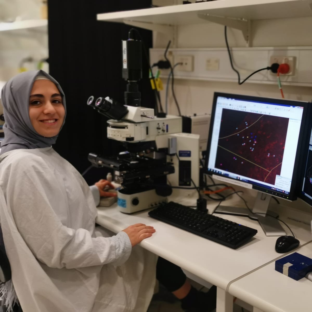 UNSW Medicine & Health tweet media