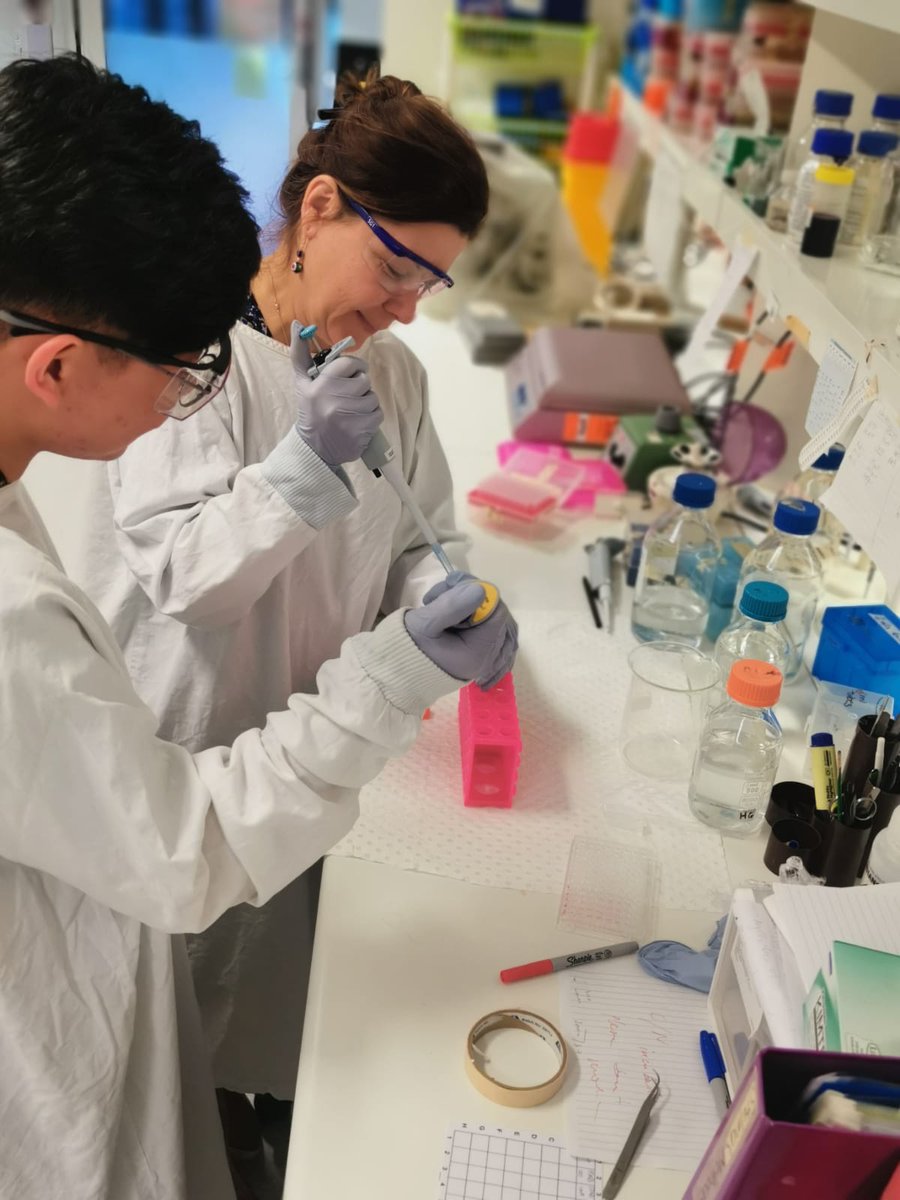 Students in the labs at @UNSW's School of Medical Sciences (SoMS). 👩‍🔬🧬

If you’re looking to do an Honours, Masters or PhD in 2021, SoMS is hosting an information session next Thurs 27 Aug. at 3pm. Info: unsw.to/SoMSession