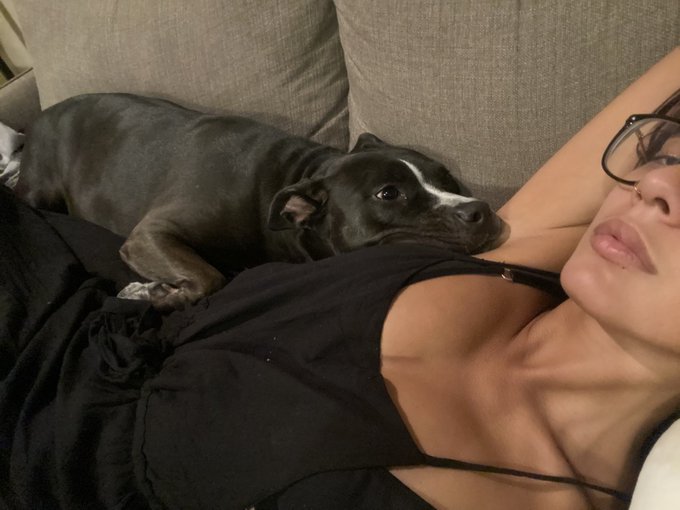 ham spoon https://t.co/3m16ehLosM<a href="/tag/newprofilepic"class="tags"><span>#newprofilepic</span></a>