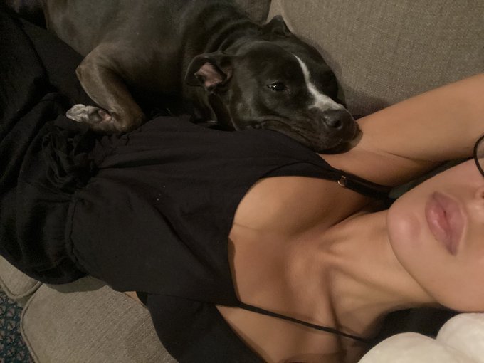 ham spoon https://t.co/3m16ehLosM<a href="/tag/newprofilepic"class="tags"><span>#newprofilepic</span></a>