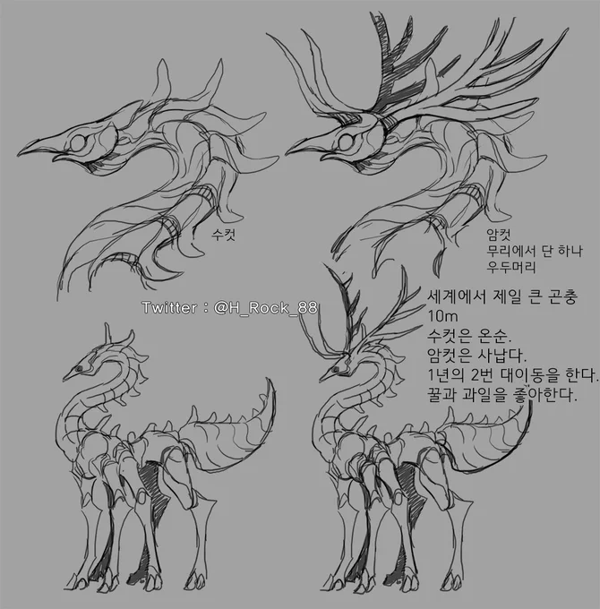 곤충 