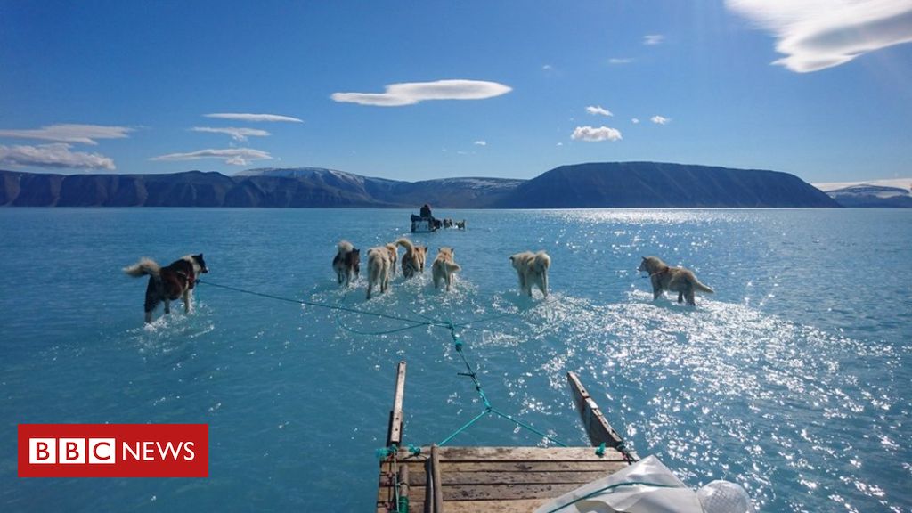Using data from the Grace and Grace-FO satellites, as well as climate models, scientists suggest that during 2019, Greenland lost 532 gigatonnes of iceResearchers say this loss is the equivalent of adding 1.5mm to global mean sea levels http://bbc.in/3l6w6sM 